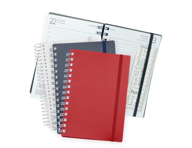 Agenda Diaria