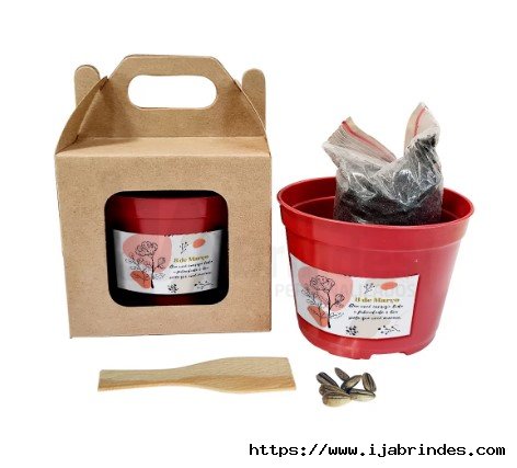 KIT KRAFT COM VISOR