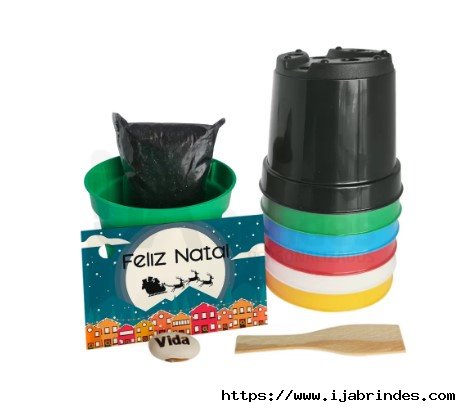 KIT VASINHO CELOFANE COM SEMENTE PERSONALIZADA