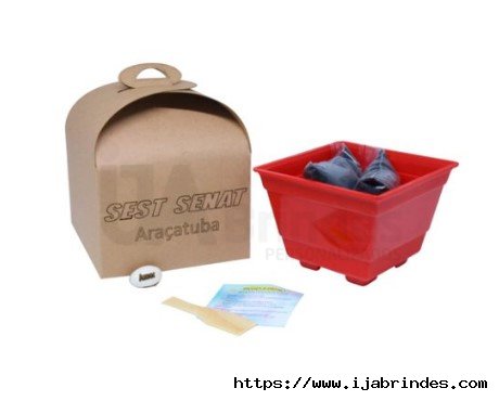 KIT KRAFT GRANDE COM SEMENTE PERSONALIZADA