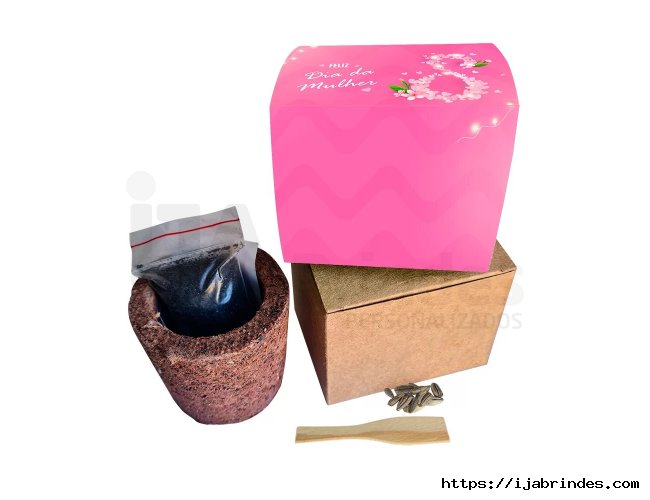 KIT CAIXA KRAFT COM VASO ECO E SEMENTES DE FLORES E TEMPEROS