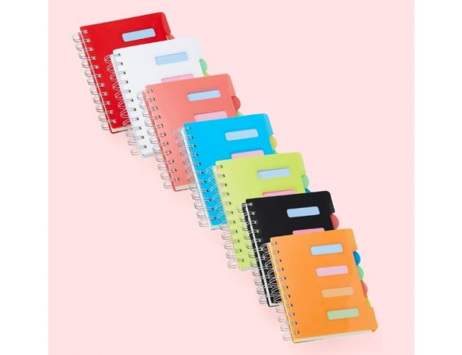 Caderno Pequeno com Divisrias