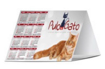 Calendrio de mesa