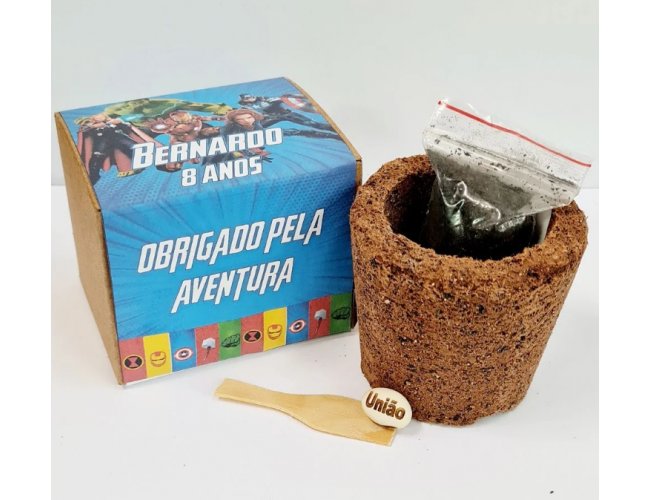 Lembrancinha para Plantar com Vasinho Ecolgico e Semente Gravada - Tema Heris