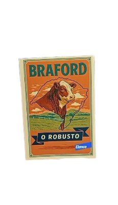 Imã de Geladeira Personalizado