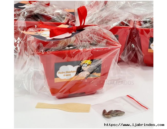Lembrancinha kit plantio