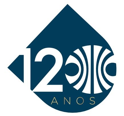 Pin personalizado