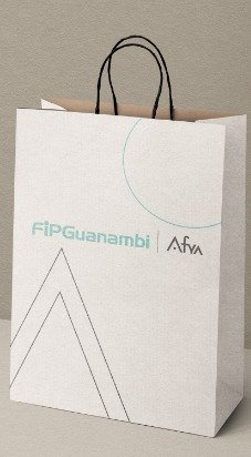 Sacola de Papel