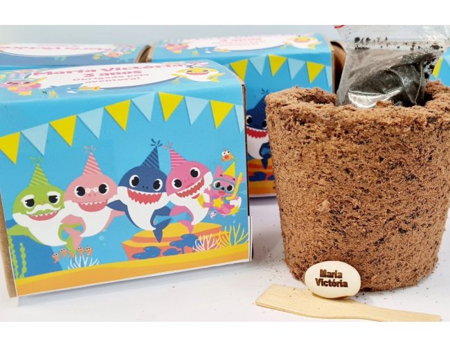 KIT CAIXA KRAFT COM VASO ECO CINTA E SEMENTE PERSONALIZADA